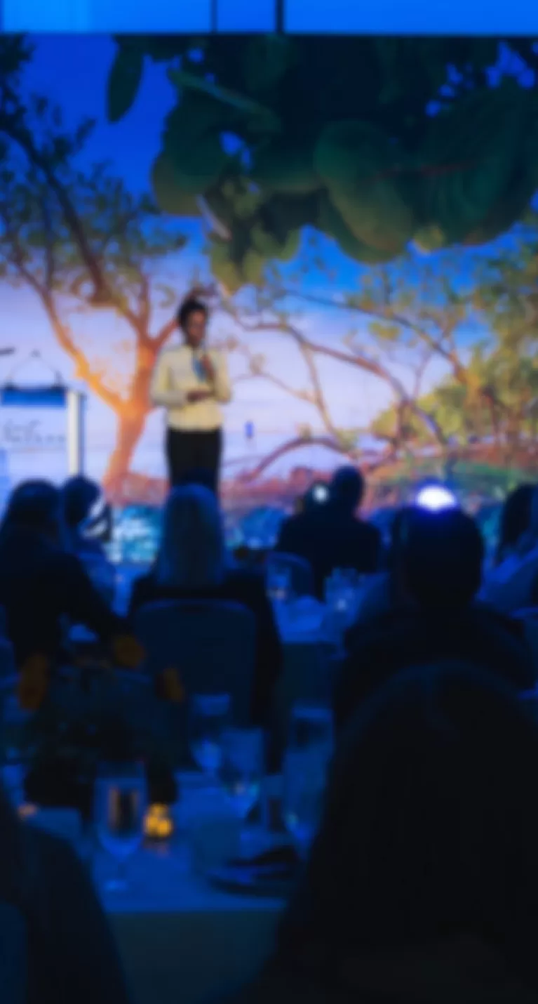 speaker on stage presenting