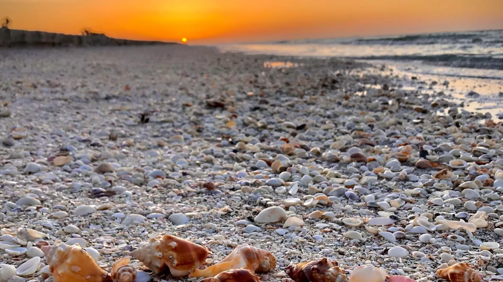ShellsSunsetBeach_Sanibel_marcia.l.mitchell_2021_05.jpg