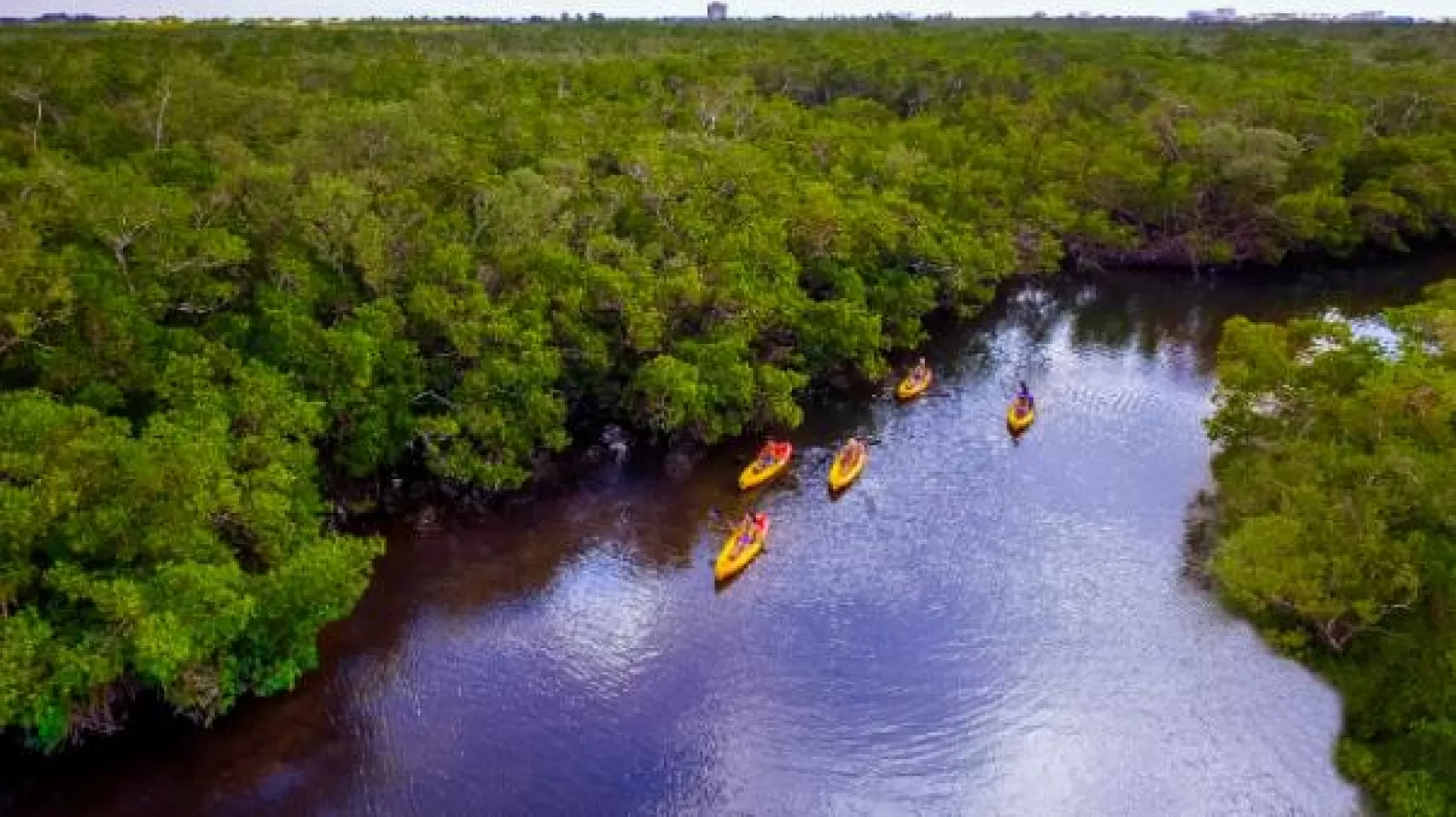 kayak