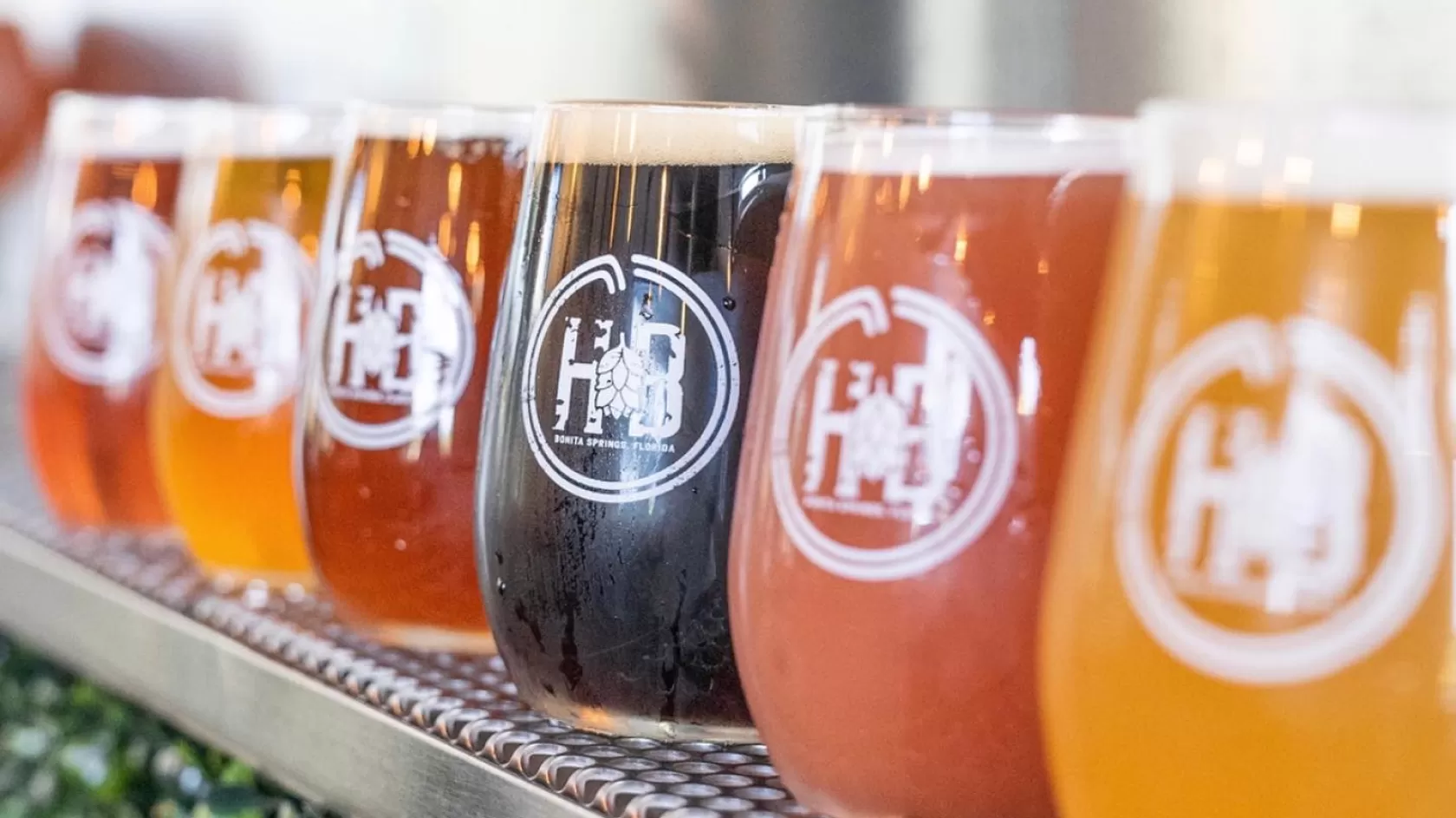 hopsized brewery glasses lined up in a row