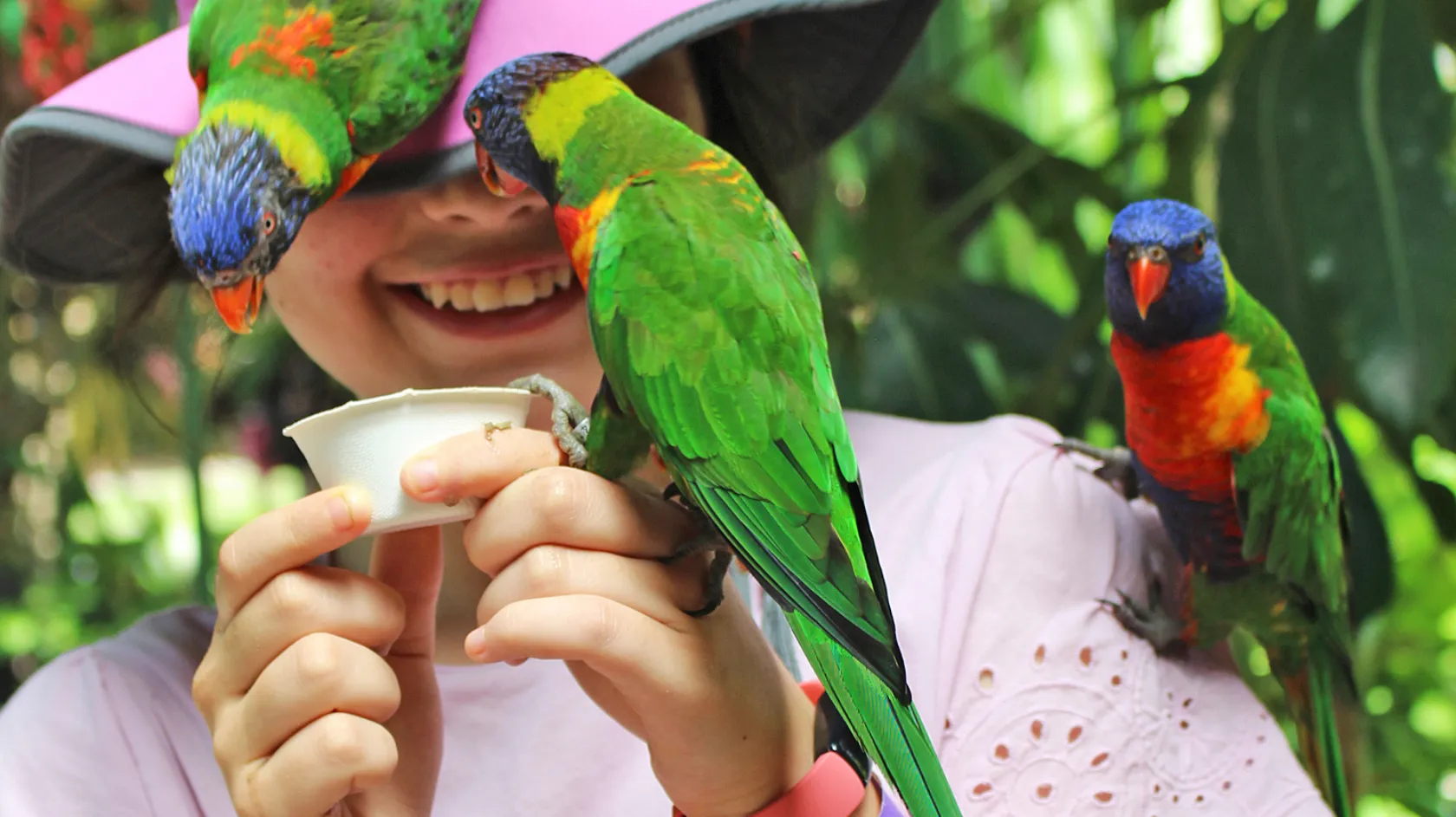A girl enjoys feeding the parakeets at Wonder Gardens