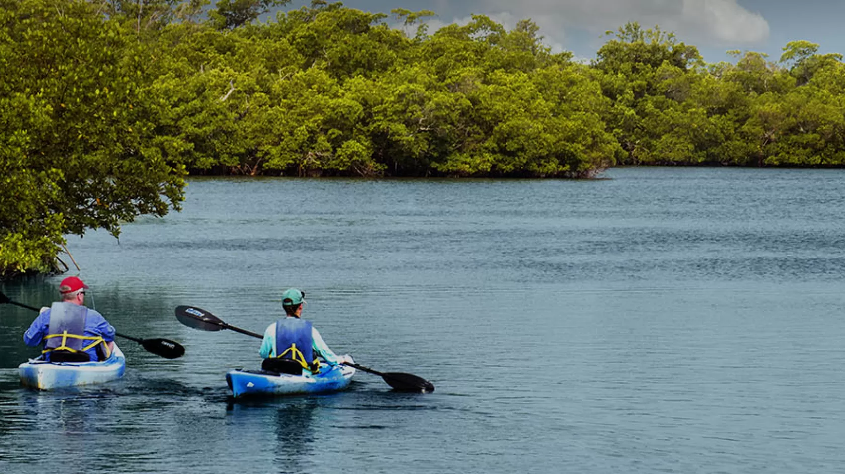 Calusa Blueway Kajakfahren