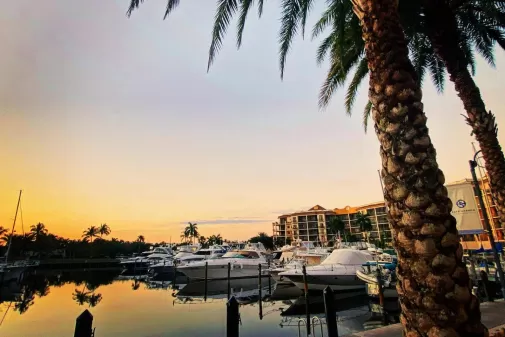 Sunset Marina Boating Boats Cape Harbor Palme