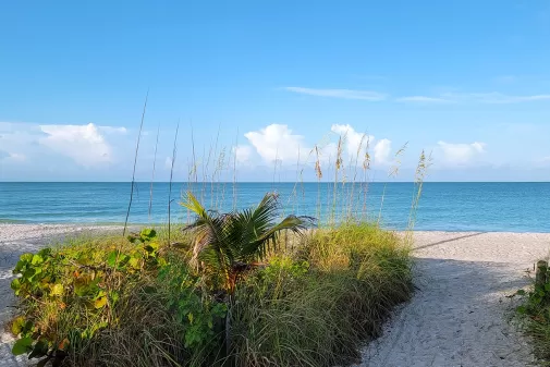 Zwei sandige Strandpfade, die zum Golf führen