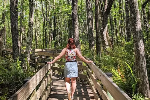 Frau Wanderung Promenade Natur Six Mile Cypress Slough Preserve