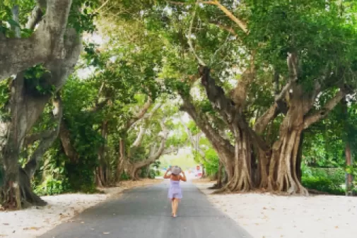 Charming neighborhoods offer endless discoveries. 