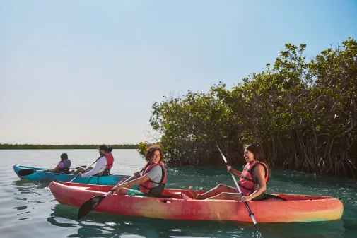 Family kayaking together on calm water bordered by mangroves.