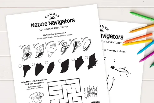 Printed Nature Navigators coloring pages with shell matching and manatee maze activities beside colored pencils.