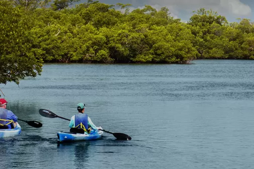 Kayak Calusa Blueway