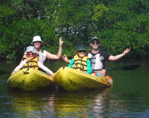Familia remando en kayak de agua por los manglares