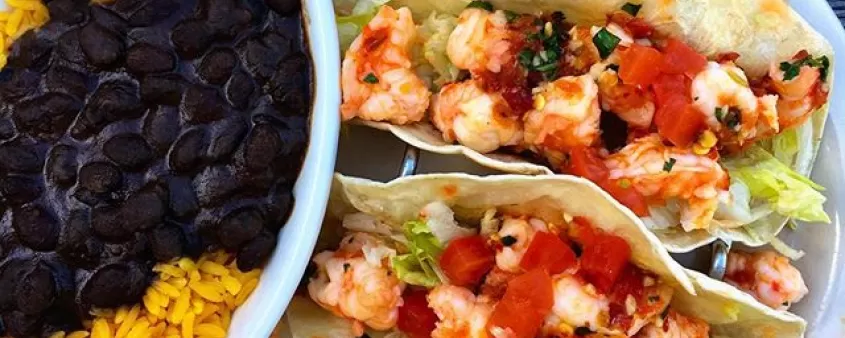 Yucatan-Garnelen-Tacos-bei-Doc-Fords.jpg