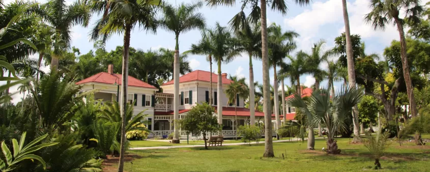 Edison und Ford Winter Estates, umgeben von Palmen