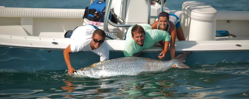 Pêche au tarpon