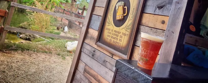 Cervecería Crazy Dingo