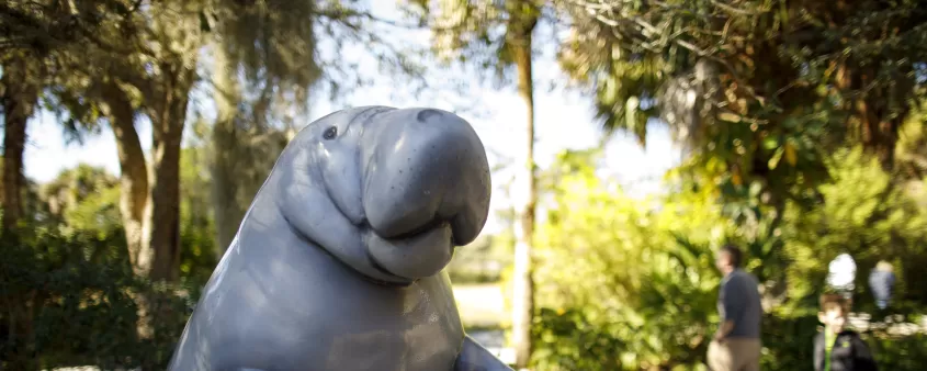Eine Statue einer Seekuh begrüßt die Gäste im Manatee Park