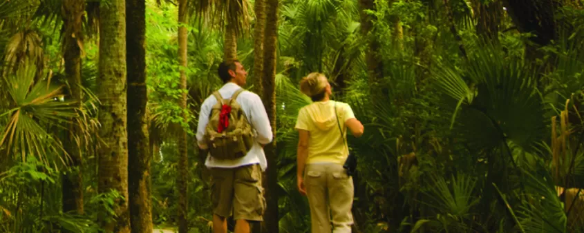 Ein Mann und eine Frau wandern auf einem Pfad