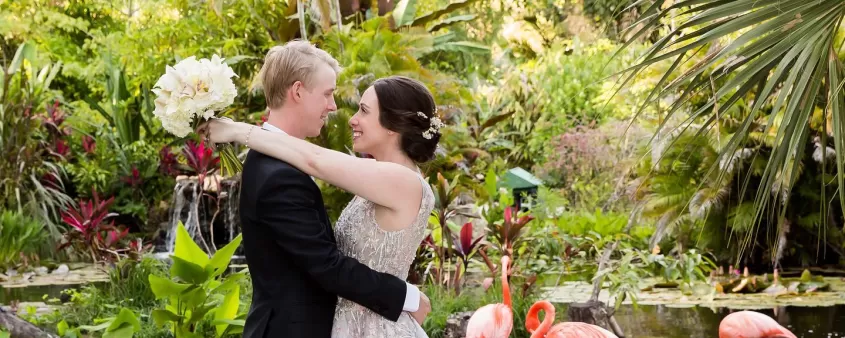 Pareja de novios Romance Flamingo Wonder Gardens