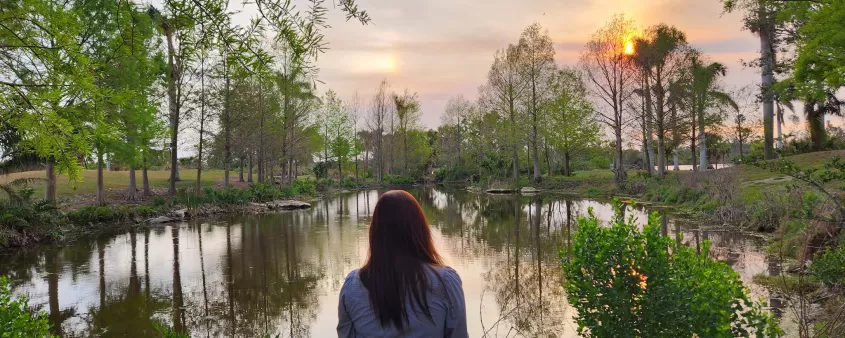 lagos parque naturaleza estanque atardecer