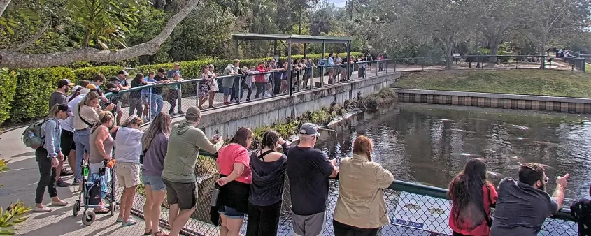 Manatee Park
