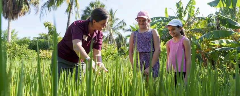Green grass with educator teaching people