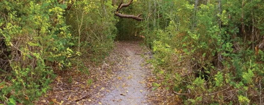 Archäologischer State Park des Hügelschlüssels