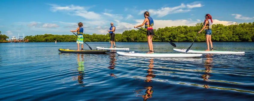 A family enjoys a standup paddleboarding excursion on the water