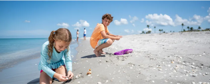 Children collect shells on the beach