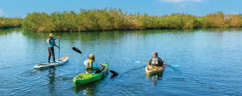 Three people paddle kayaks and a stand-up paddleboard through calm water along the Great Calusa Blueway.