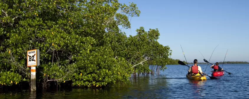 Kayak y pesca