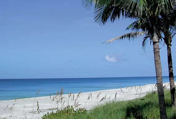 Parc de la plage Alison Hagerup