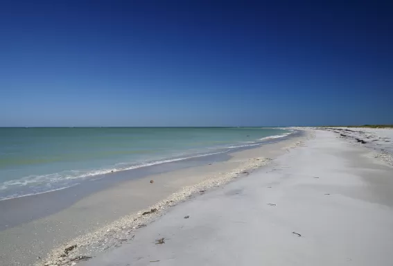 Strand von Cayo Costa