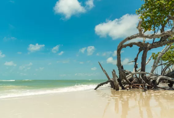 Parque de Little Hickory Island