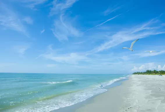 Plage de Turner