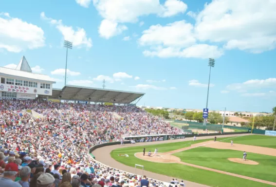 twins baseball stadium game