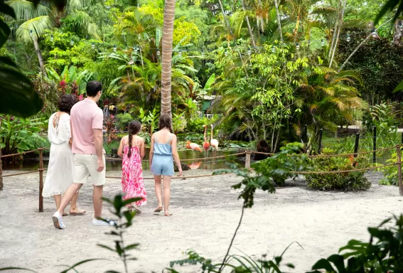 Familia de pie de espaldas a la cámara mirando un flamenco en las aguas poco profundas de una playa de arena en Wonder Gardens