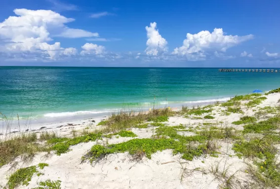 blaugrünes Wasser des Strandes und Sand mit viel Grün in den Dünen