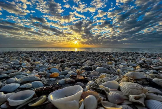 coquillages sur la plage au coucher du soleil