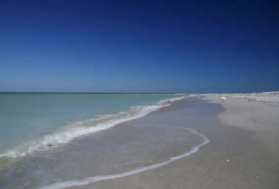 Playa en el Parque Estatal Cayo Costa