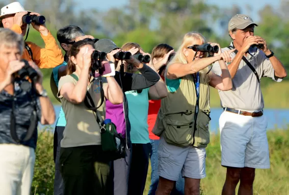 Observation d'oiseaux