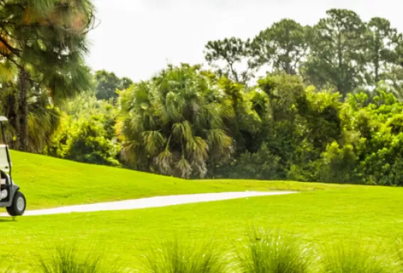 une voiturette de golf roule sur un chemin entre les trous.