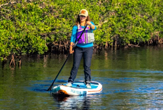 Une femme pagaie à travers les mangroves sur un SUP