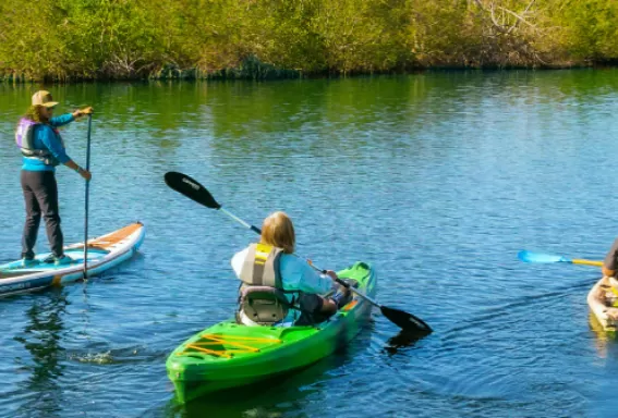 Eine Gruppe von Menschen paddelt in Kajaks einen Fluss hinunter