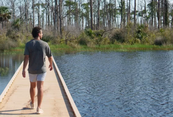 Entdecken Sie die Natur in der Gegend von Fort Myers