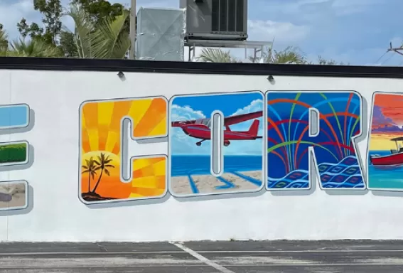 Cape Mural