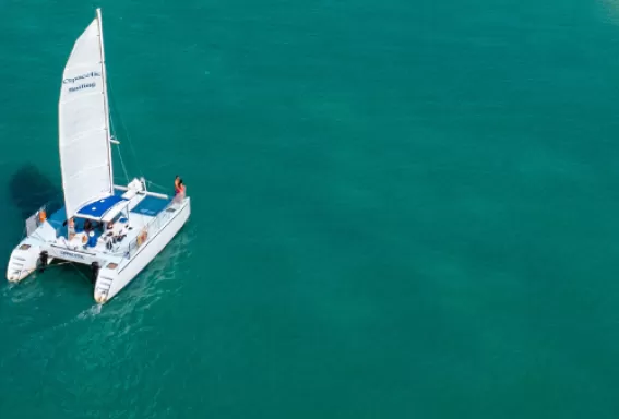 Island hopping is a popular activity with more than 100+ coastal islands to explore. 