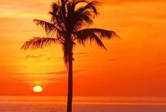 A sunset over the beach