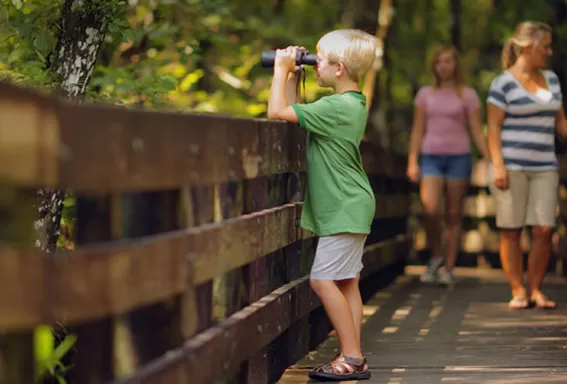 Enfant utilisant des jumelles sur une promenade