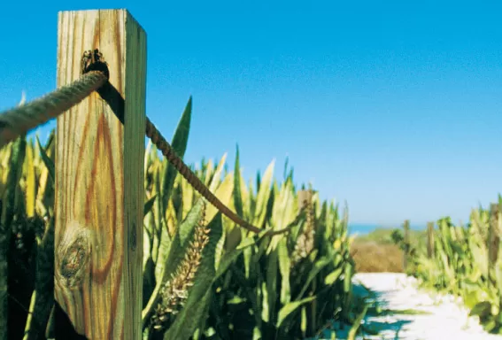 Cerca del poste de madera sujetando la cuerda de la pasarela a la playa