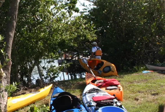 A photo of kayaks along Calusa Blueway