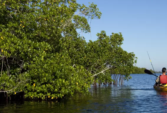 Kayak y pesca